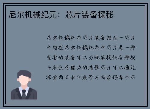 尼尔机械纪元：芯片装备探秘
